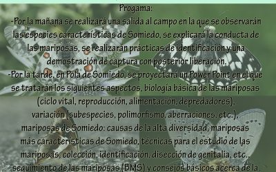 Butterfly Workshop in the Natural Park of Somiedo